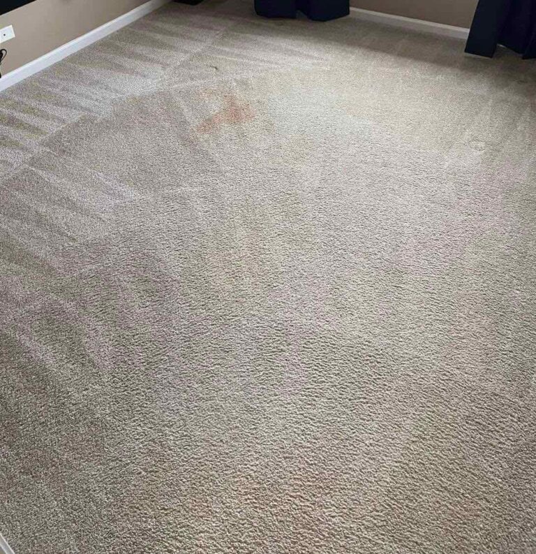 Red Wine Stains Challenge The Best Way To Rescue Your Carpet Happy M